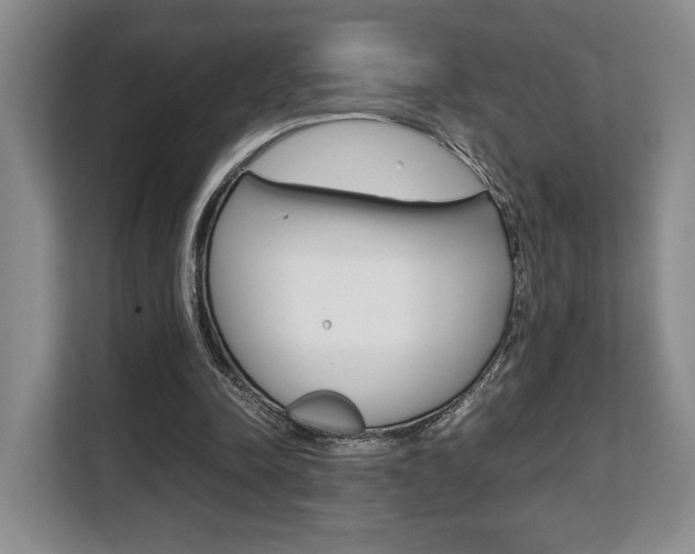 X0000108480342200904031124
