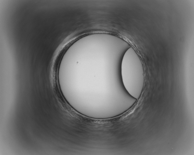 X0000108480343200904031124