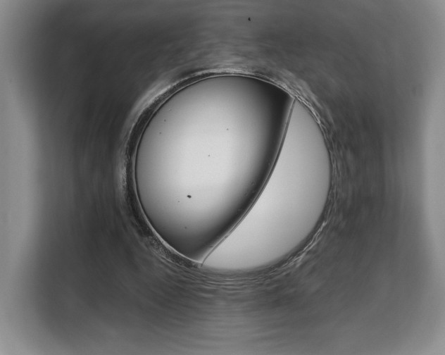 X0000108480344200904031124