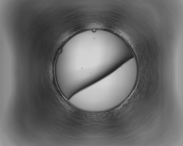 X0000108480345200904031124