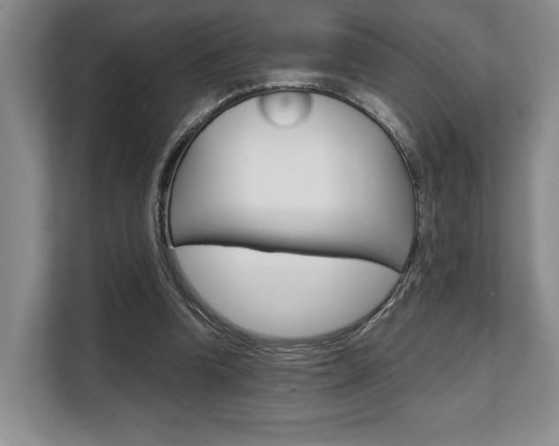 X0000108480346200904031124