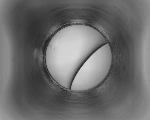 X0000108480347200904031124
