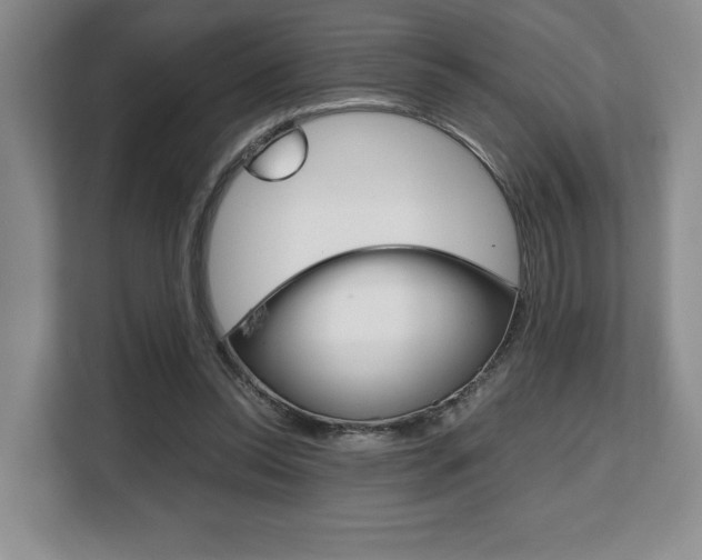 X0000108480350200904031124