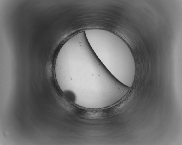 X0000108480351200904031124