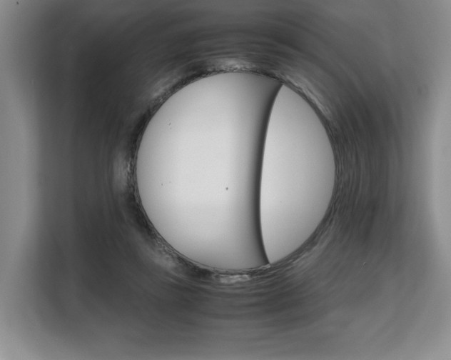 X0000108480355200904031124