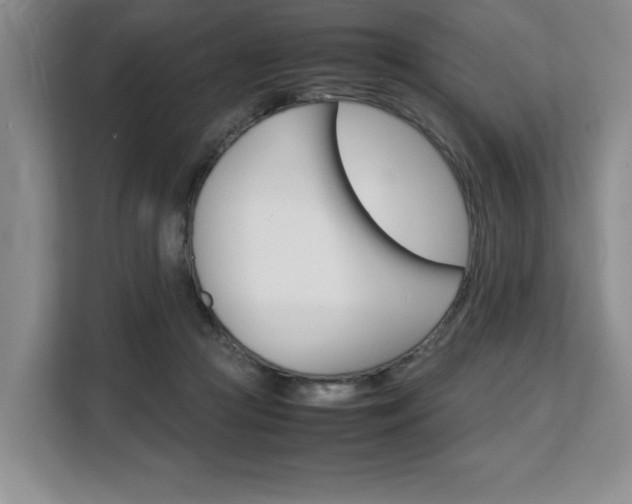 X0000108480361200904031124