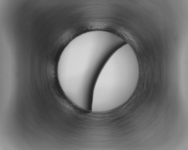 X0000108480362200904031124