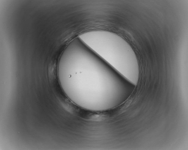 X0000108480364200904031124
