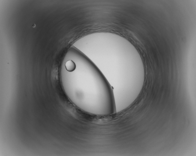 X0000108480368200904031124