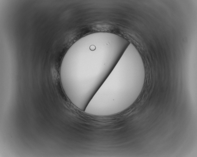 X0000108480371200904031124