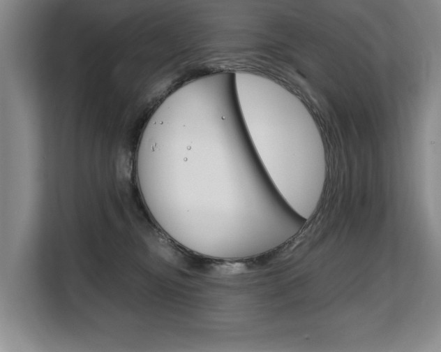 X0000108480374200904031124