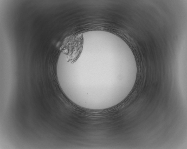 X0000108480375200904031124