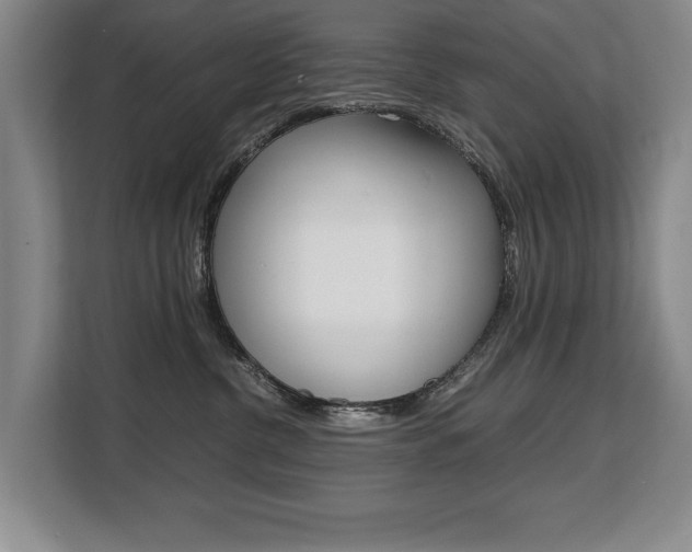 X0000108480380200904031124