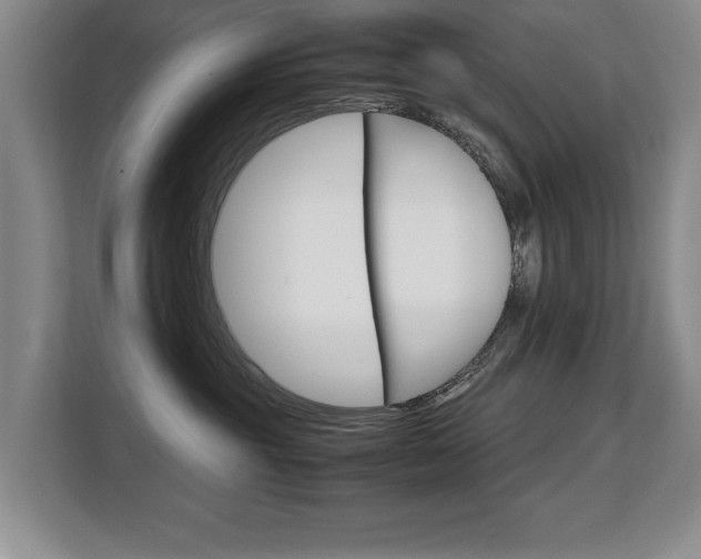 X0000108480381200904031124