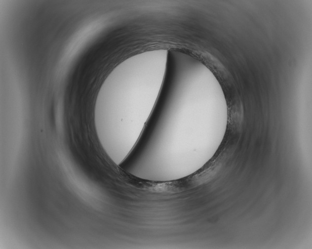 X0000108480382200904031124