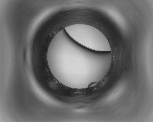 X0000108480383200904031124