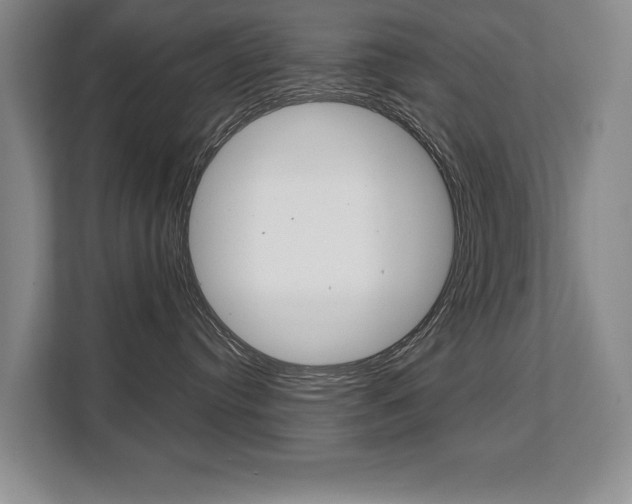 X0000108480384200904031124