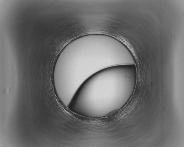 X0000108480385200904031124