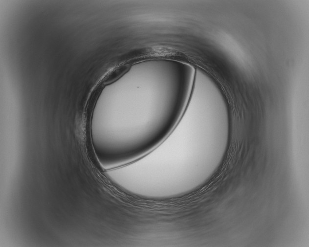 X0000108480387200904031124