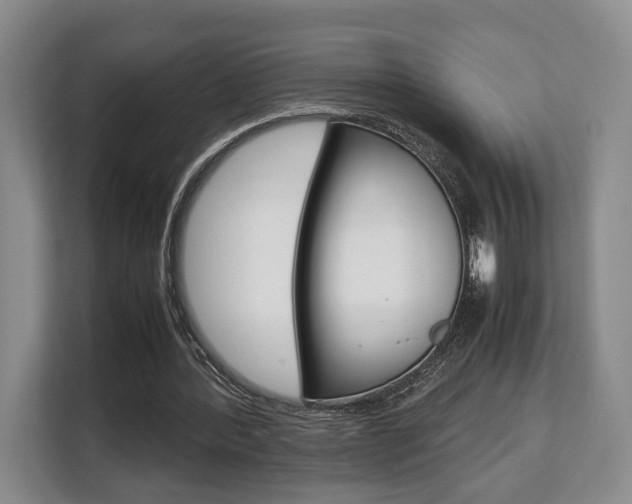X0000108480388200904031124