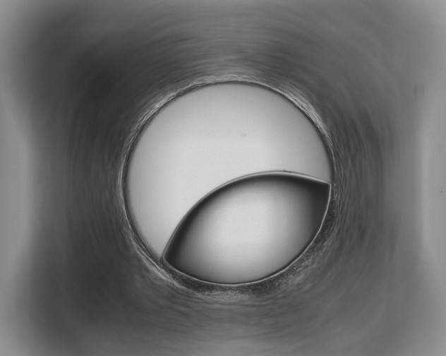X0000108480389200904031124