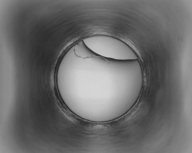 X0000108480390200904031124