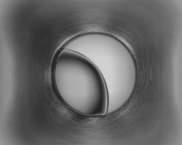 X0000108480391200904031124
