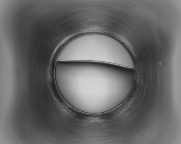 X0000108480392200904031124