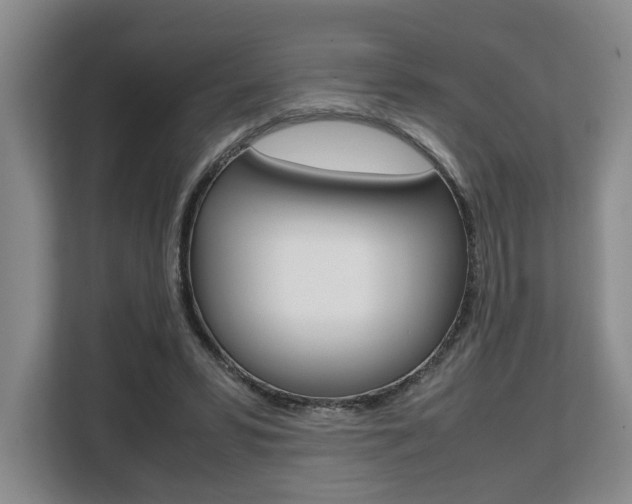 X0000108480399200904031123