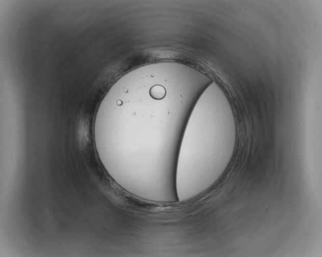 X0000108480406200904031123