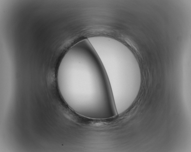 X0000108480407200904031123