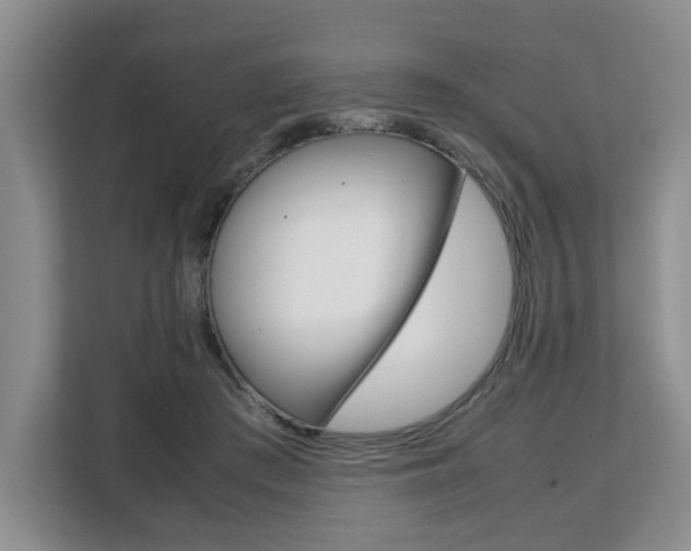 X0000108480409200904031123