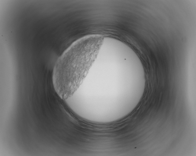 X0000108480410200904031123