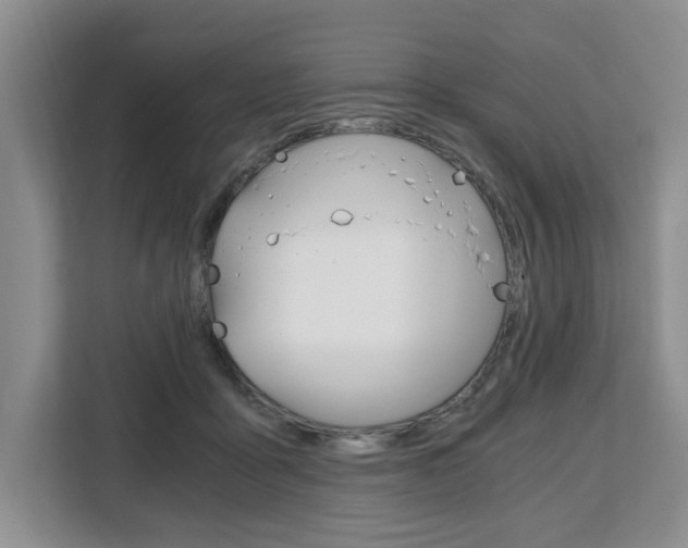 X0000108480411200904031123