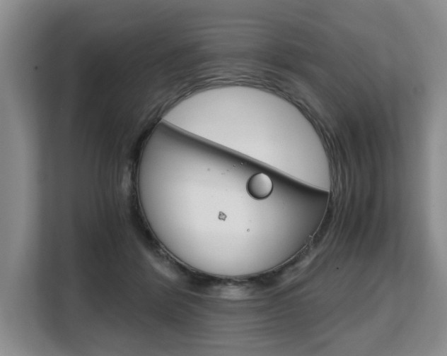X0000108480412200904031123