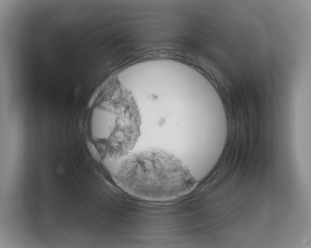 X0000108480414200904031123