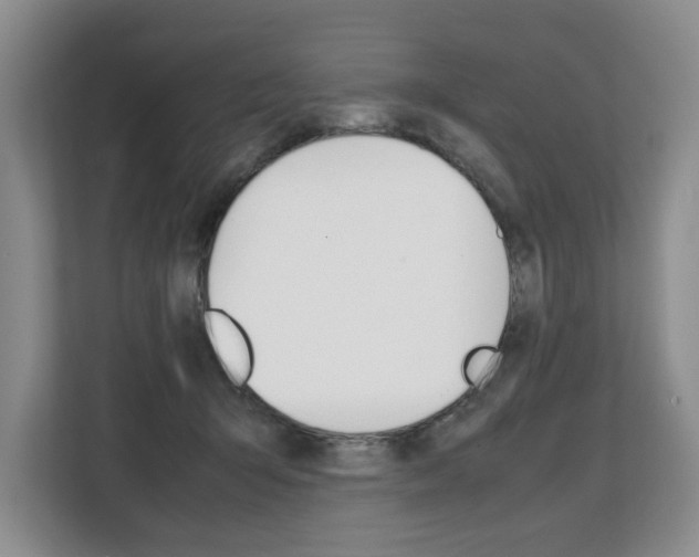 X0000108480415200904031123
