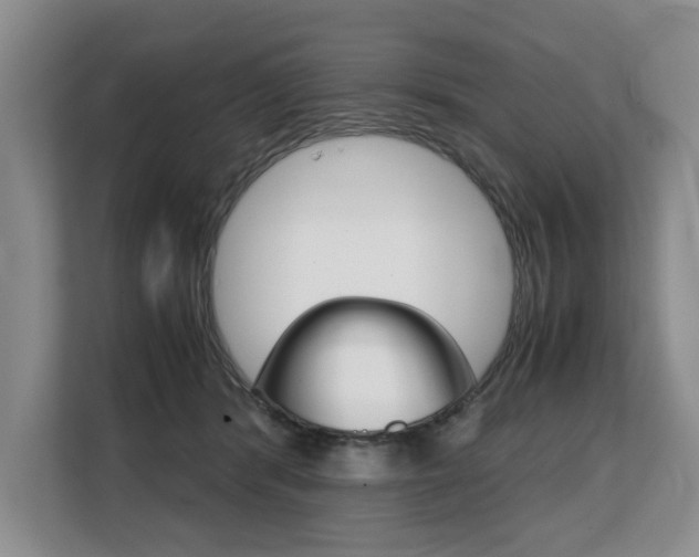 X0000108480416200904031123