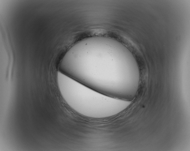 X0000108480417200904031123