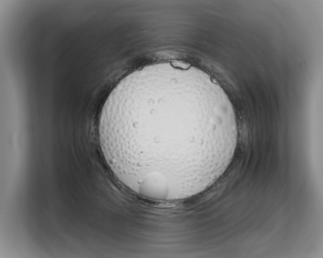 X0000108480418200904031123