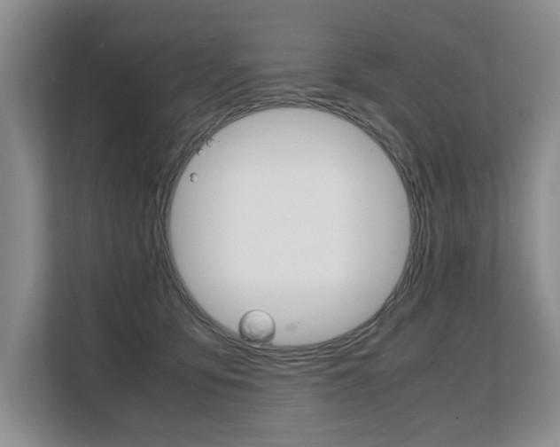 X0000108480419200904031123