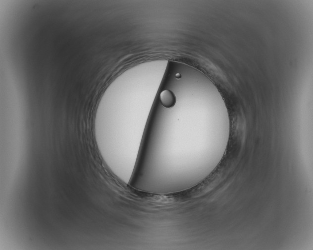 X0000108480421200904031123