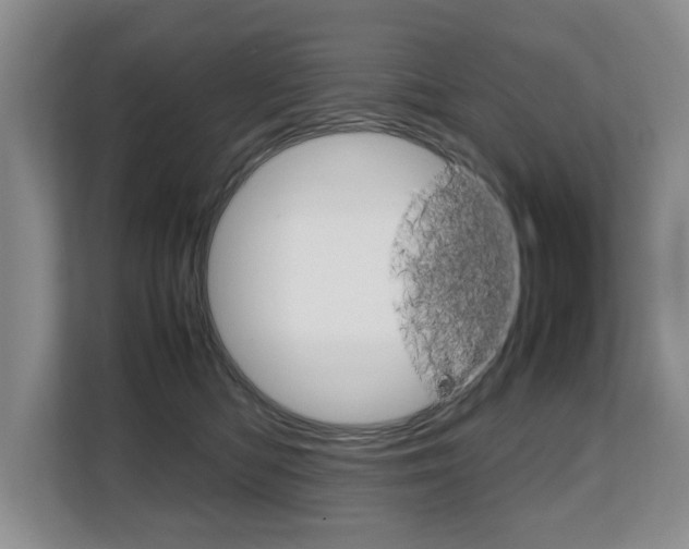 X0000108480422200904031123