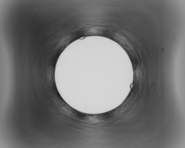 X0000108480423200904031123