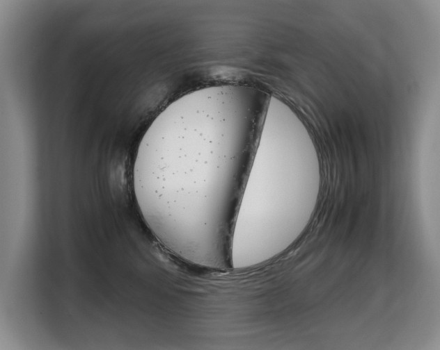X0000108480424200904031123