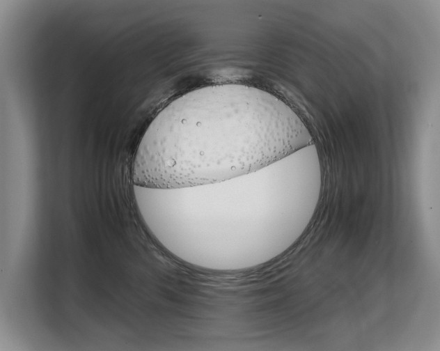 X0000108480426200904031123