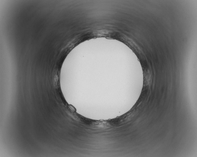 X0000108480427200904031123