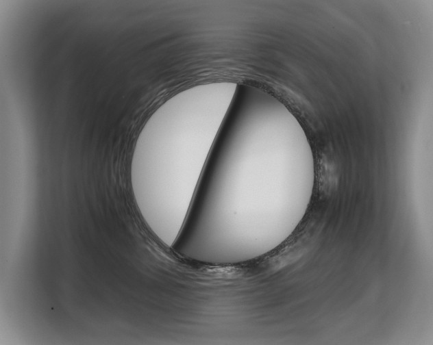 X0000108480428200904031123