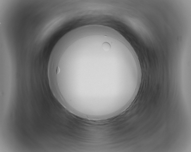 X0000108480431200904031123