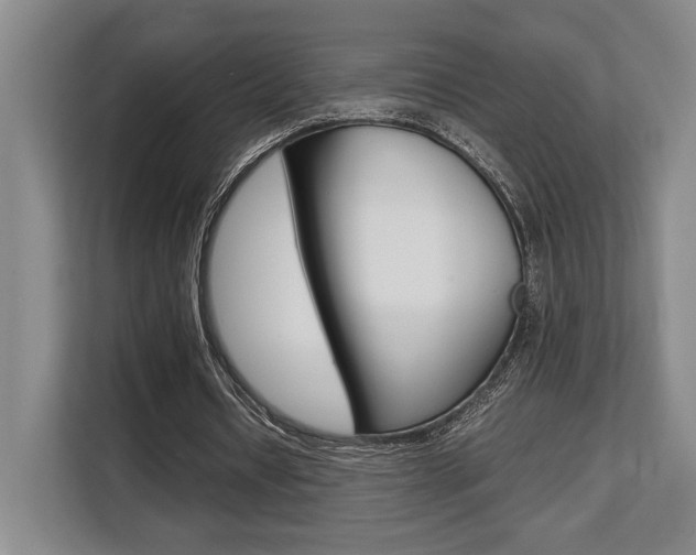 X0000108480434200904031122